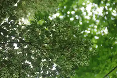 鹿島大神宮の自然