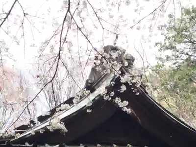 腰掛神社(神奈川県)