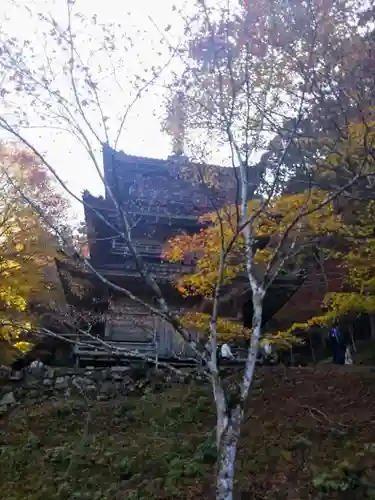 高源寺の塔