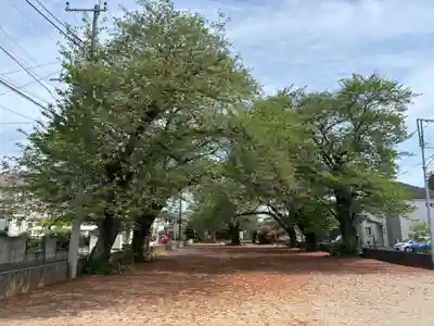 白山神社(千葉県)
