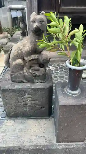 榎稲荷神社の狛犬