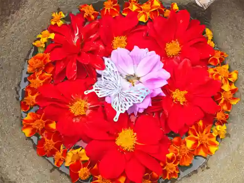 真言宗　善通寺派　薬王寺(香川県)