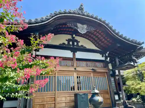 圓眞寺(神奈川県)