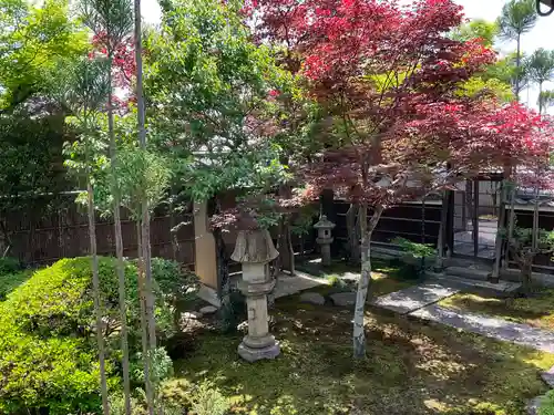 大雲寺(京都府)