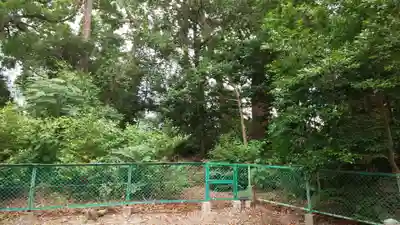 木嶋坐天照御魂神社(京都府)