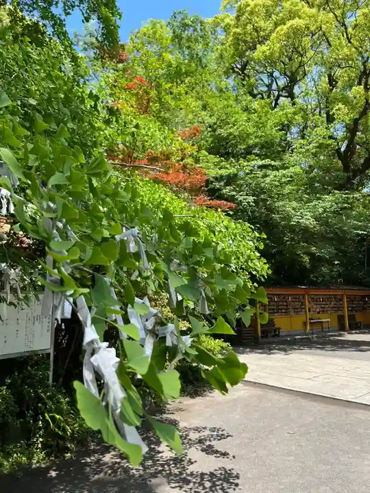 枚聞神社(鹿児島県)
