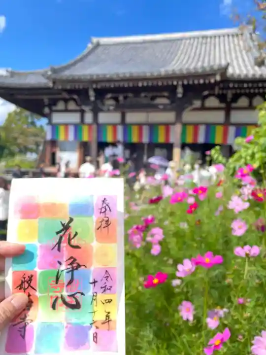 般若寺 ❁コスモス寺❁(奈良県)