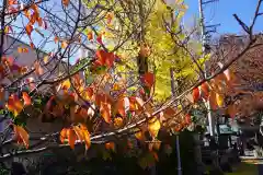 阿邪訶根神社の自然