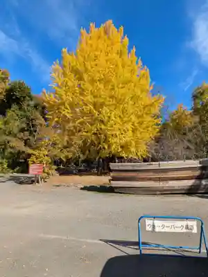 宝登山神社(埼玉県)