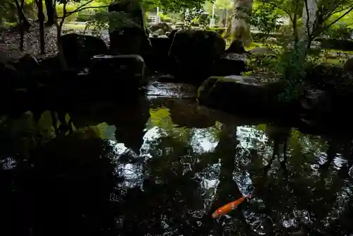 大寧寺の庭園