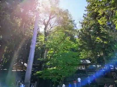 諏訪大社のその他建物