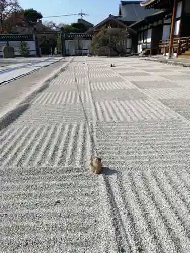 聖護院門跡の庭園