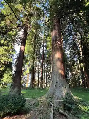 都々古別神社(馬場)(福島県)
