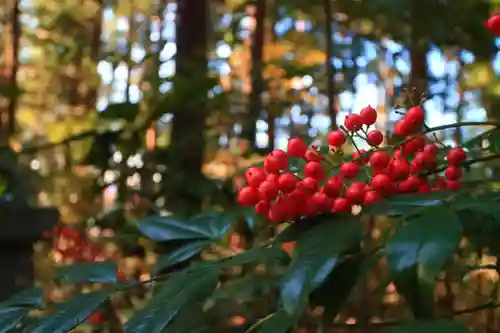 青葉神社の自然