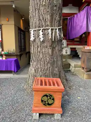 日本橋日枝神社(東京都)