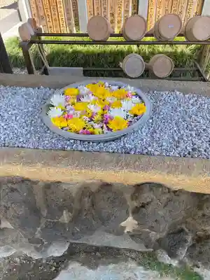 埼玉厄除け開運大師・龍泉寺（切り絵御朱印発祥の寺）(埼玉県)