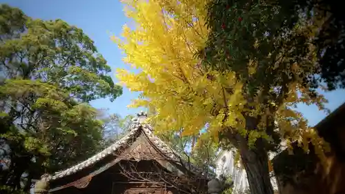 十二所社の景色