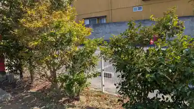 御霊稲荷神社の自然