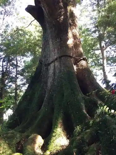 水屋神社(三重県)