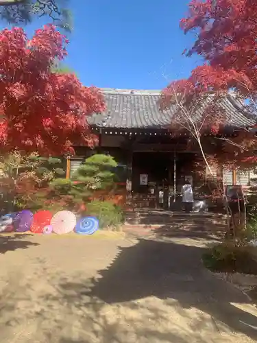 法輪寺の御朱印