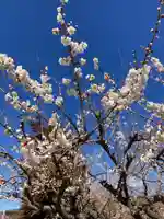 八幡社(小田原市曽我別所)(神奈川県)