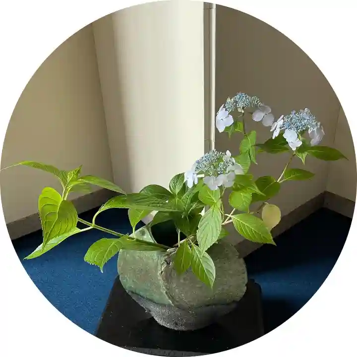 釧路一之宮 厳島神社(北海道)