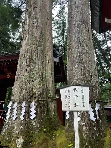 日光二荒山神社(栃木県)