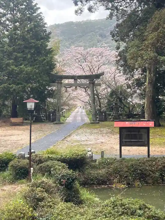 鰐鳴八幡宮(山口県)