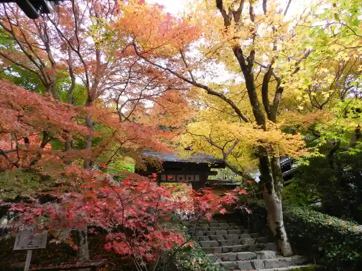 寂光院(京都府)