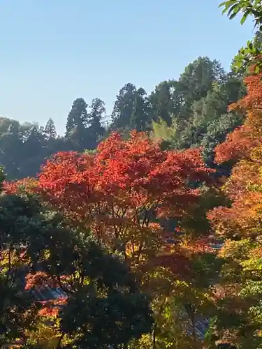 柳谷観音　楊谷寺(京都府)