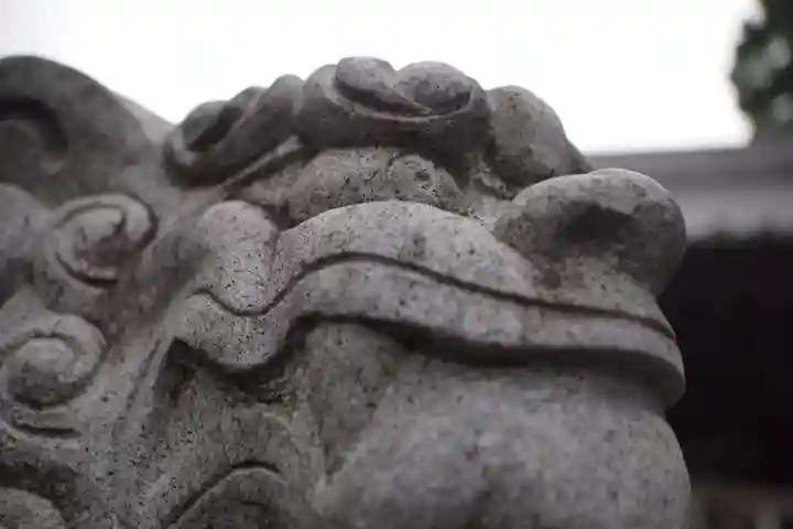 熊野大神社の狛犬