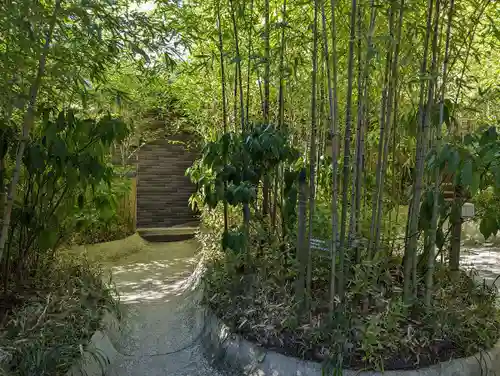 來宮神社(静岡県)