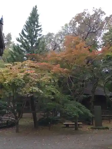 平林寺(埼玉県)