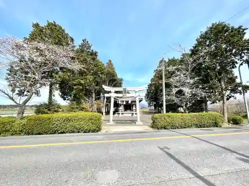 松井神社の鳥居