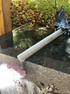 戸隠神社宝光社(長野県)