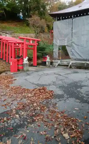 白狐山光星寺の鳥居