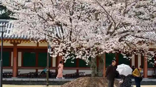 薬師寺の庭園