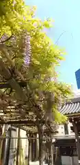 圓珠寺の庭園