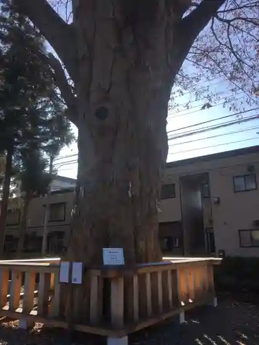 住吉神社の自然