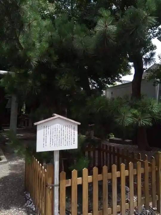 安久美神戸神明社の自然