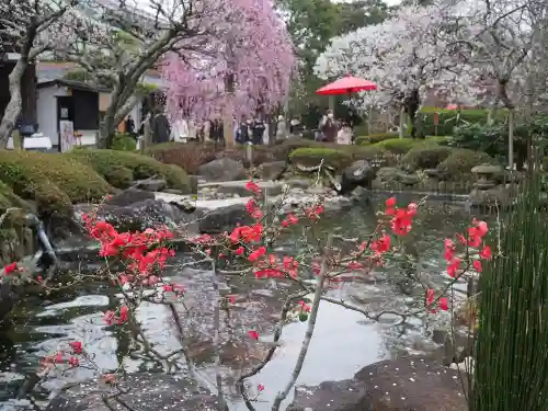 長谷寺の庭園