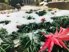 總社 和田八幡宮の庭園