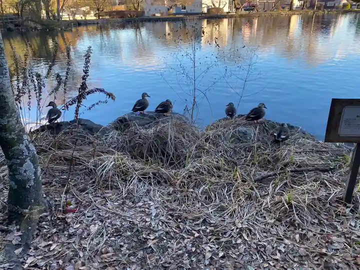乃木神社(栃木県)