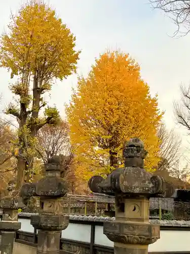 上野東照宮(東京都)