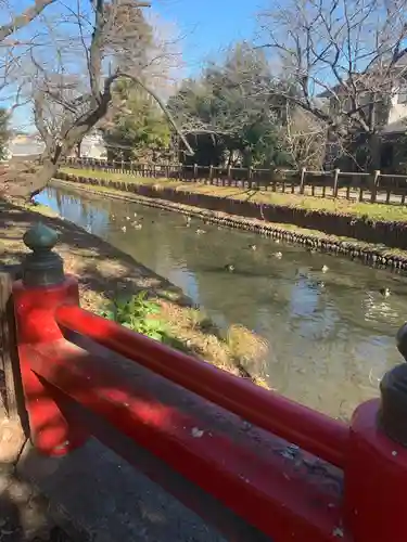 氷川女體神社の周辺