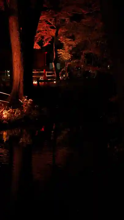 賀茂御祖神社(下鴨神社)(京都府)