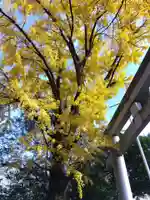 闇之森八幡社(愛知県)