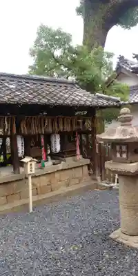 羽束師坐高御産日神社の本殿・本堂