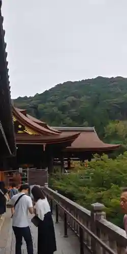 清水寺の本殿・本堂