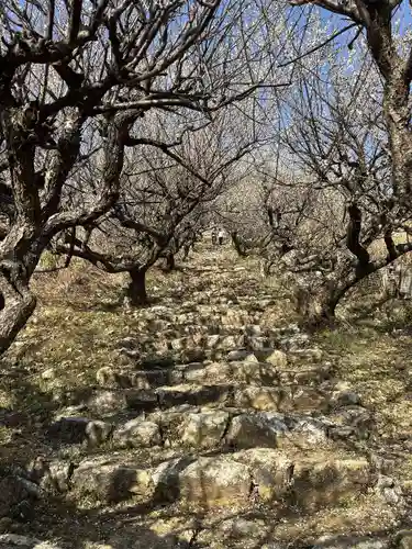 長楽寺(静岡県)